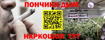 сатива Можга