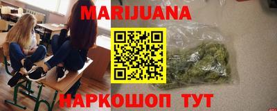 сатива Можга