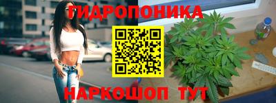 a pvp Можайск