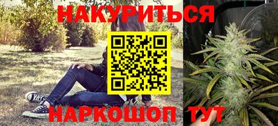 сатива Можга