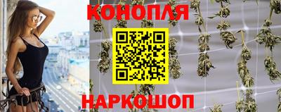 сатива Можга