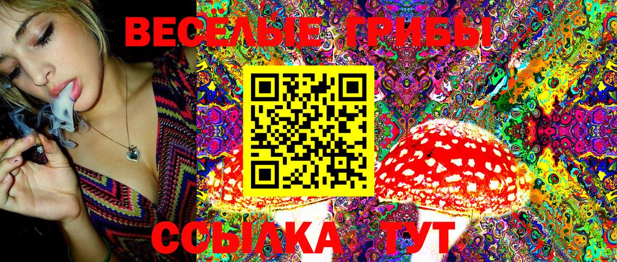 Псилоцибиновые грибы MAGIC MUSHROOMS Томск