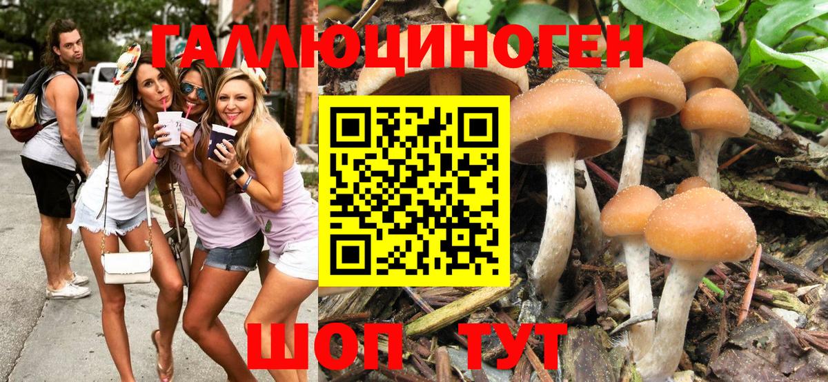 Галлюциногенные грибы MAGIC MUSHROOMS  Вход с VPN  Томск  Галлюциногенные грибы мицелий 